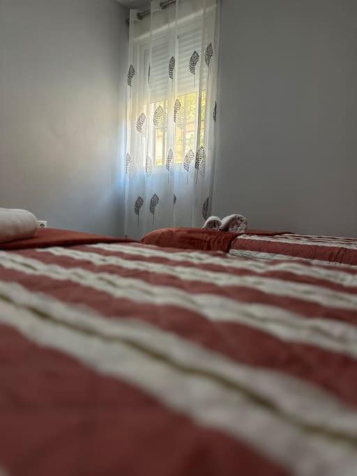 Apartamento Turistico O.N Renfe Córdoba Eksteriør bilde